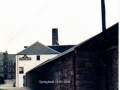 Springbank