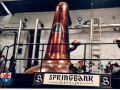 SpringbankStills